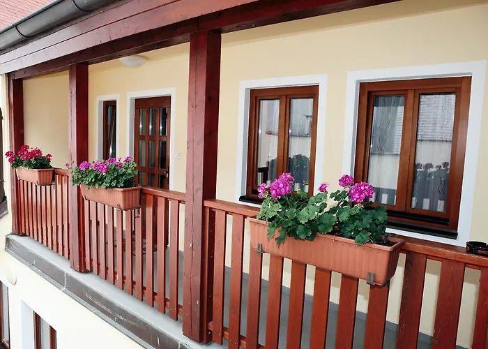 Pelikán